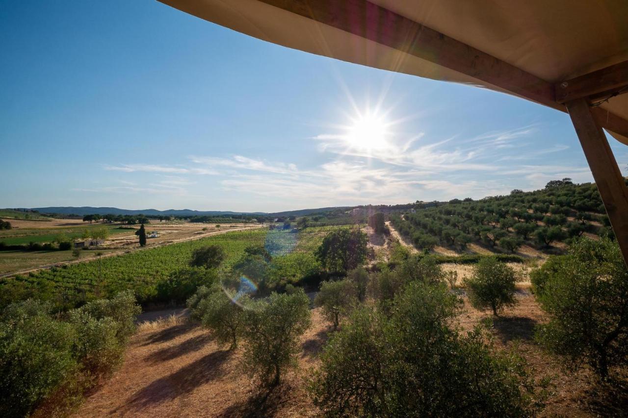 Glamping Podere San Jacopo Massa Marittima Buitenkant foto
