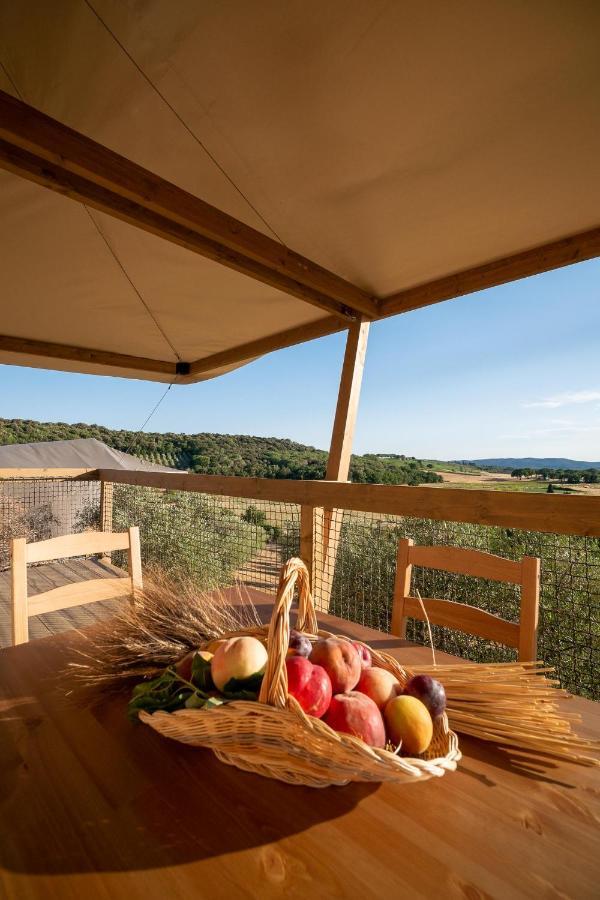 Glamping Podere San Jacopo Massa Marittima Buitenkant foto